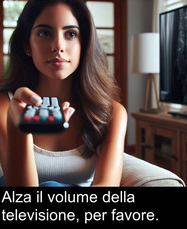 favore: Alza il volume della televisione, per favore.