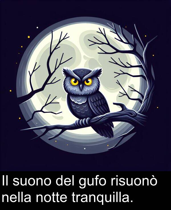 notte: Il suono del gufo risuonò nella notte tranquilla.