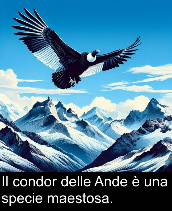 una: Il condor delle Ande è una specie maestosa.