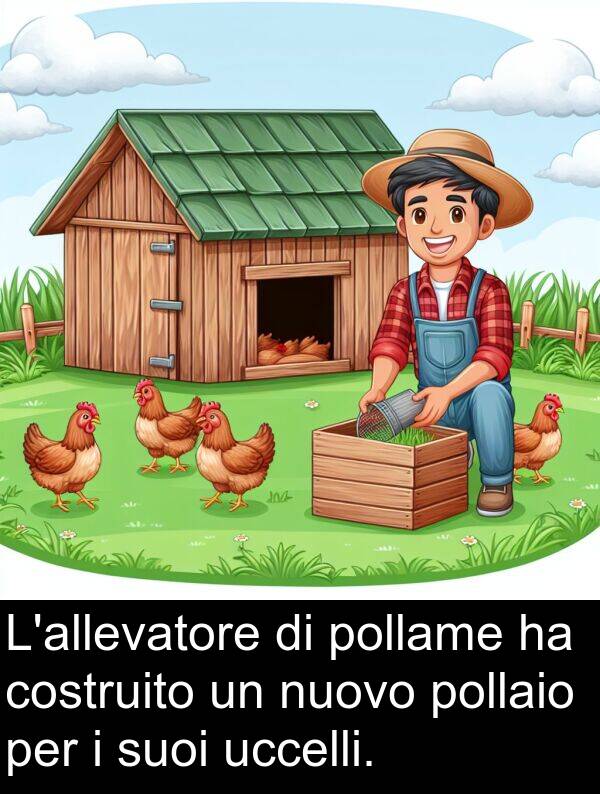 pollame: L'allevatore di pollame ha costruito un nuovo pollaio per i suoi uccelli.