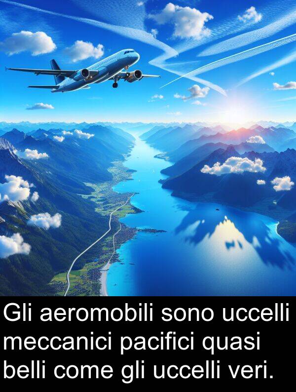 come: Gli aeromobili sono uccelli meccanici pacifici quasi belli come gli uccelli veri.