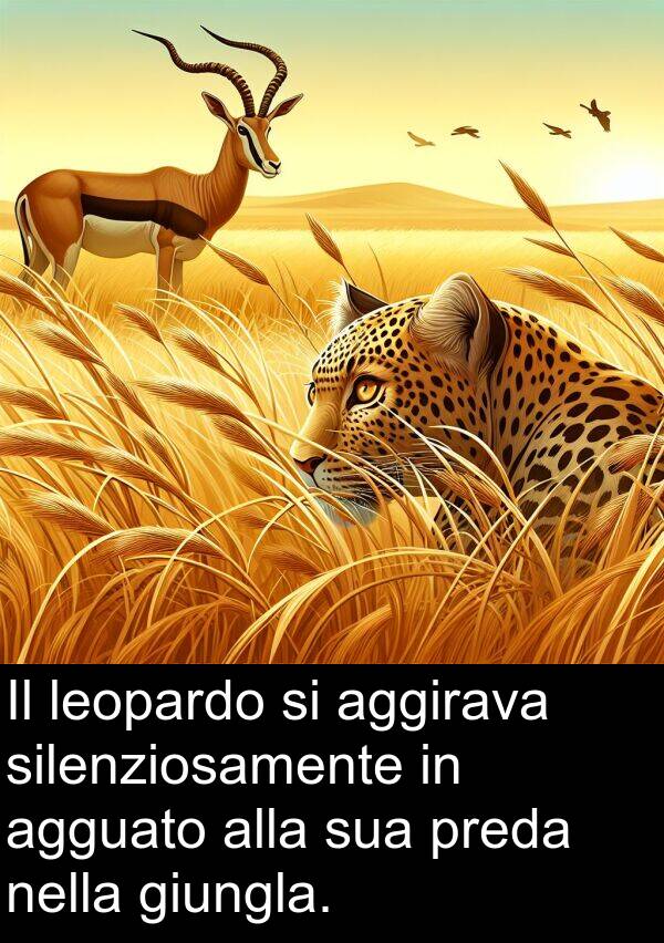 giungla: Il leopardo si aggirava silenziosamente in agguato alla sua preda nella giungla.