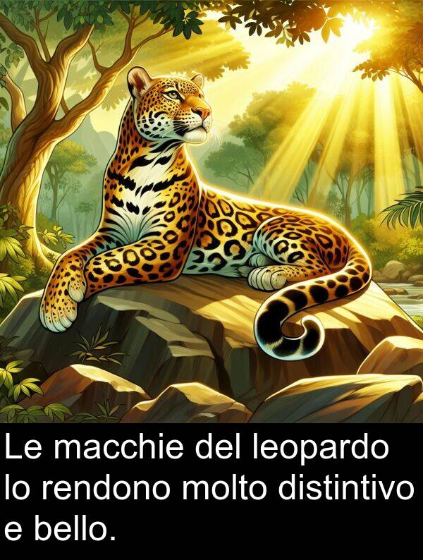 macchie: Le macchie del leopardo lo rendono molto distintivo e bello.