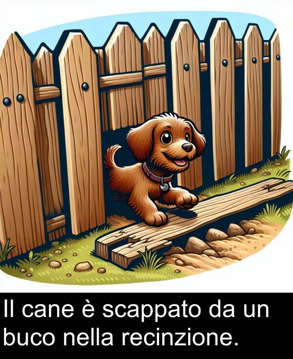 nella: Il cane è scappato da un buco nella recinzione.