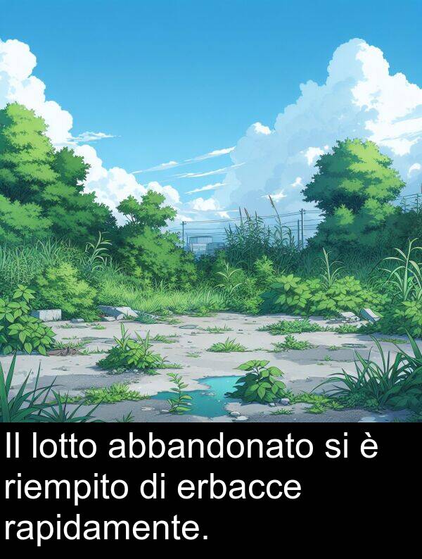 rapidamente: Il lotto abbandonato si è riempito di erbacce rapidamente.