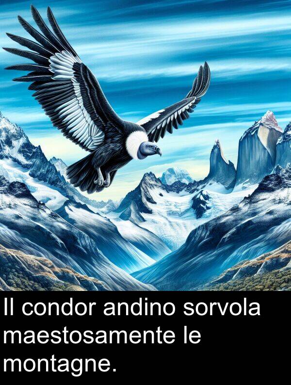 maestosamente: Il condor andino sorvola maestosamente le montagne.