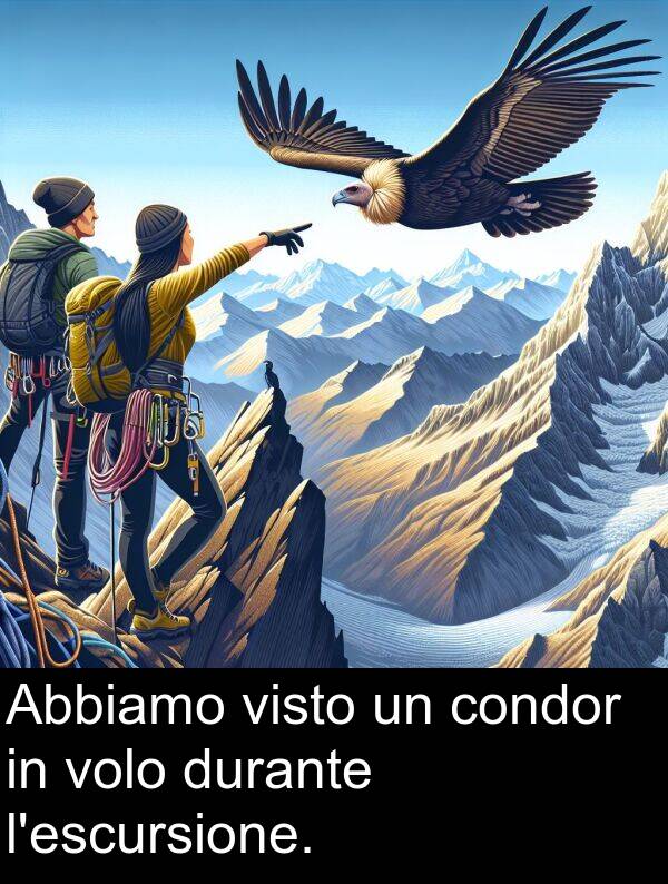 volo: Abbiamo visto un condor in volo durante l'escursione.