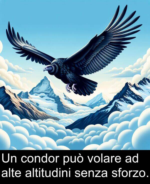 alte: Un condor può volare ad alte altitudini senza sforzo.