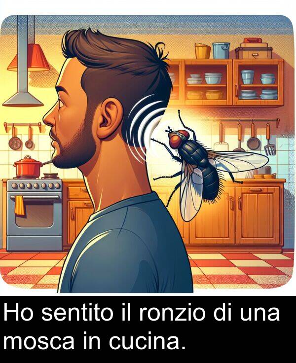 una: Ho sentito il ronzio di una mosca in cucina.