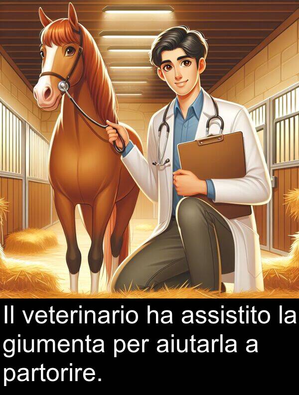 veterinario: Il veterinario ha assistito la giumenta per aiutarla a partorire.