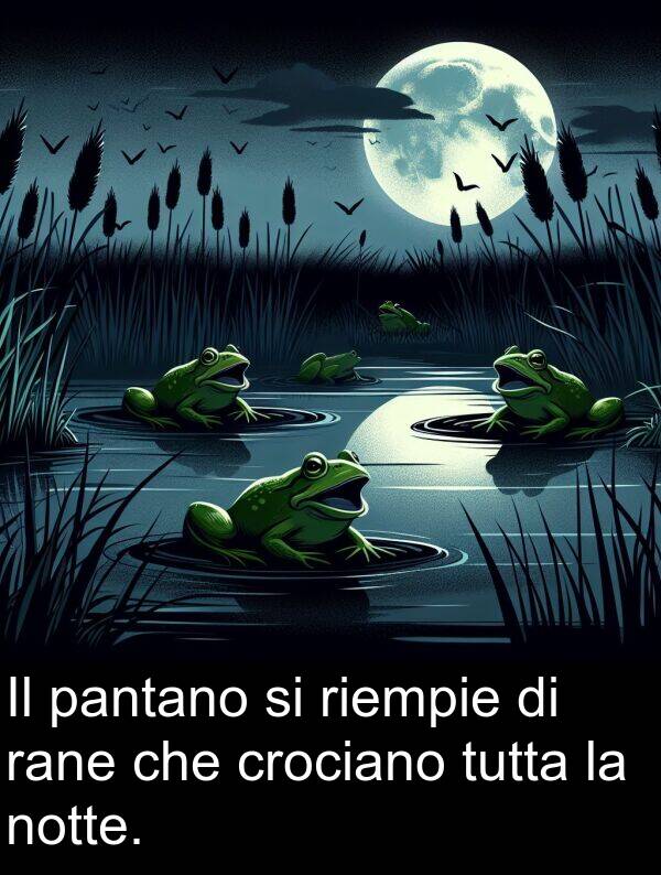 notte: Il pantano si riempie di rane che crociano tutta la notte.