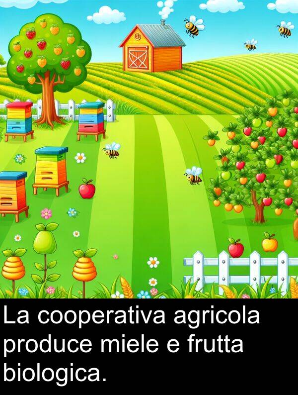 biologica: La cooperativa agricola produce miele e frutta biologica.