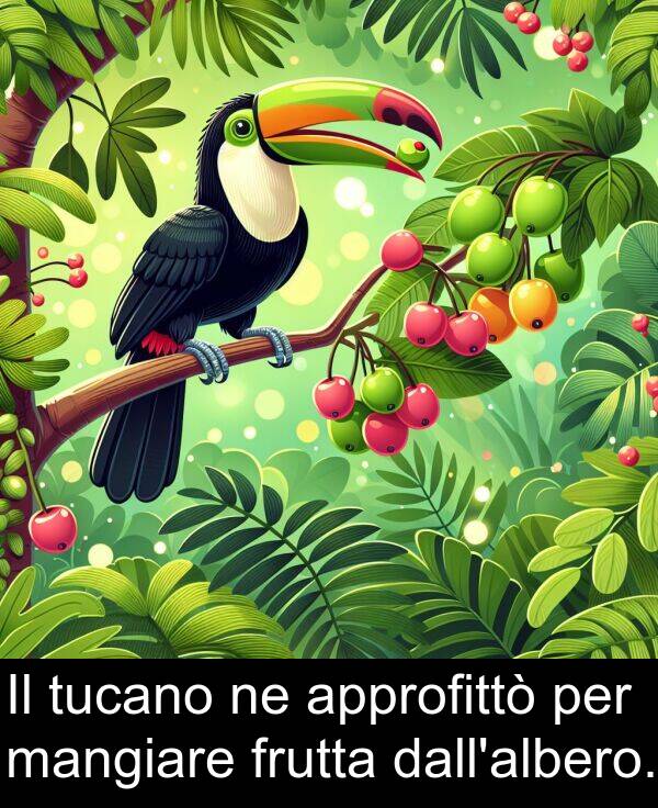 mangiare: Il tucano ne approfittò per mangiare frutta dall'albero.