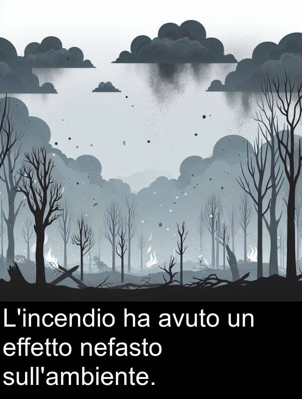 effetto: L'incendio ha avuto un effetto nefasto sull'ambiente.