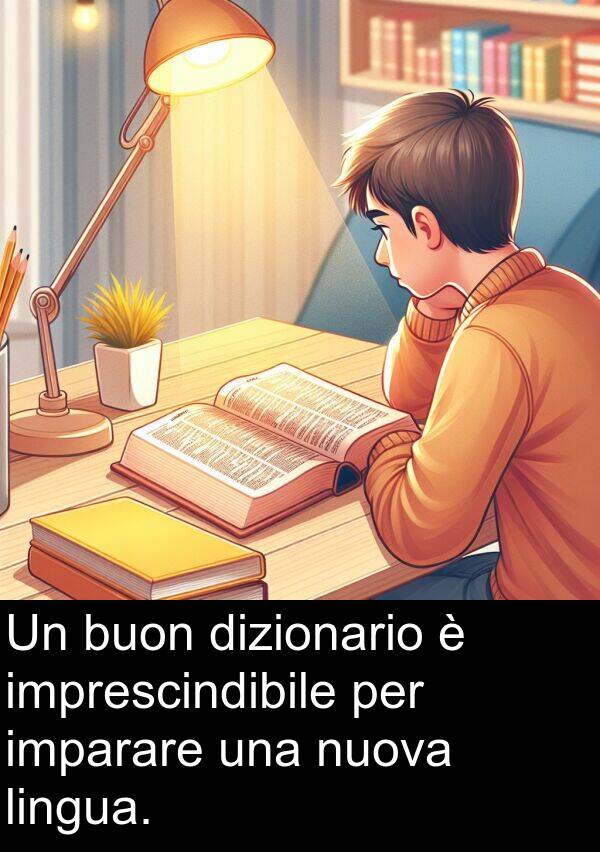 imparare: Un buon dizionario è imprescindibile per imparare una nuova lingua.