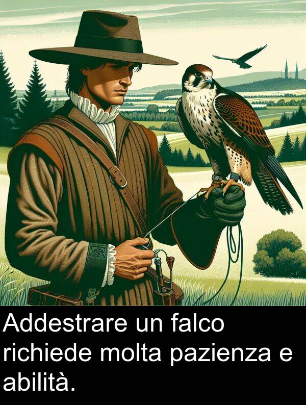 falco: Addestrare un falco richiede molta pazienza e abilità.