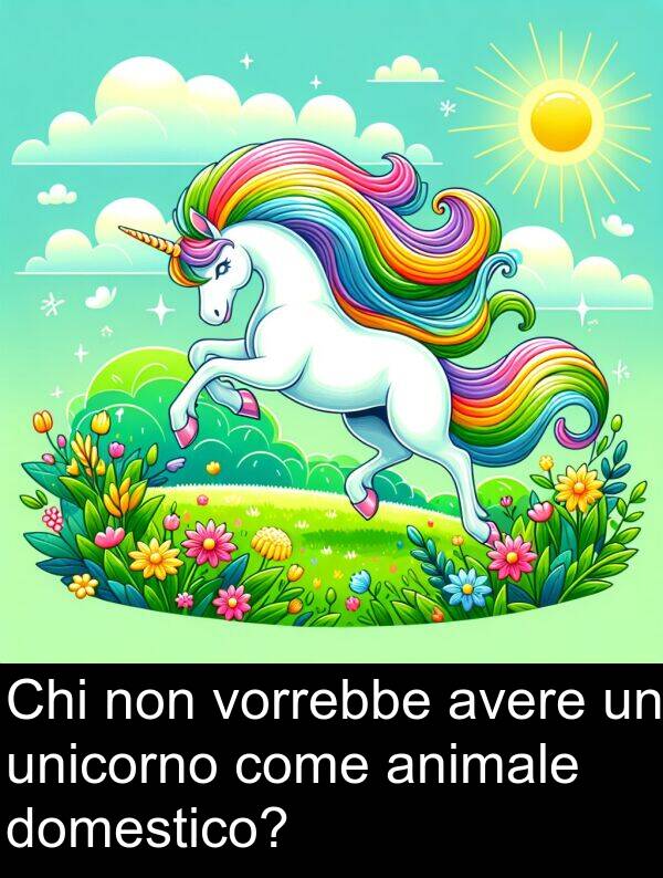 non: Chi non vorrebbe avere un unicorno come animale domestico?