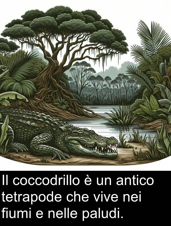 paludi: Il coccodrillo è un antico tetrapode che vive nei fiumi e nelle paludi.