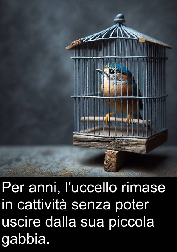 anni: Per anni, l'uccello rimase in cattività senza poter uscire dalla sua piccola gabbia.