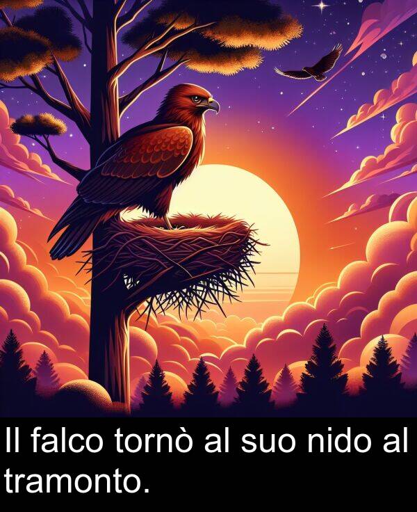 falco: Il falco tornò al suo nido al tramonto.