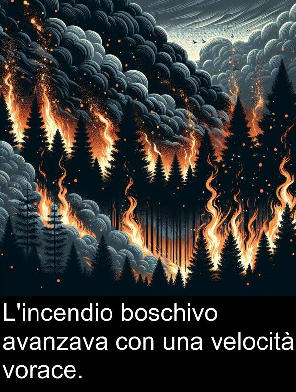 velocità: L'incendio boschivo avanzava con una velocità vorace.