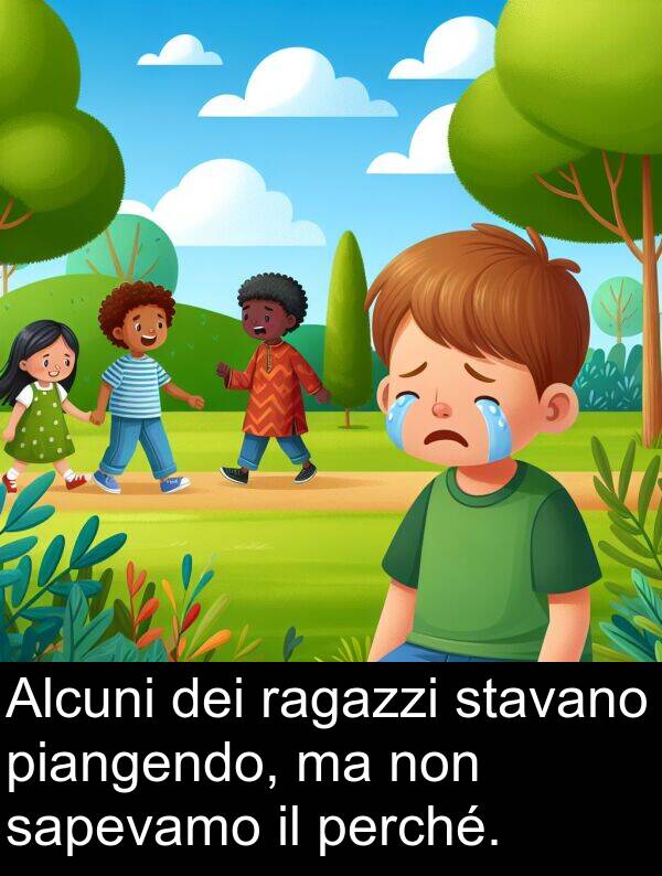 ragazzi: Alcuni dei ragazzi stavano piangendo, ma non sapevamo il perché.