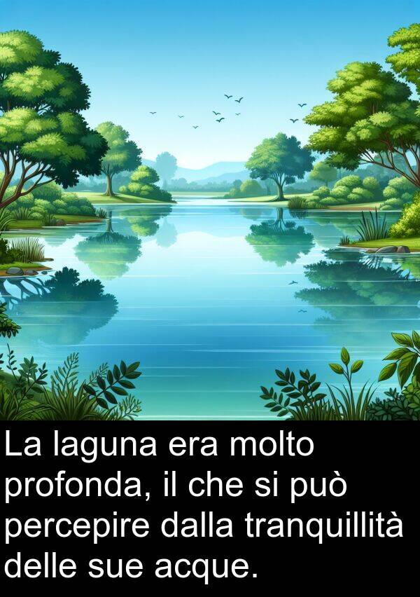 acque: La laguna era molto profonda, il che si può percepire dalla tranquillità delle sue acque.