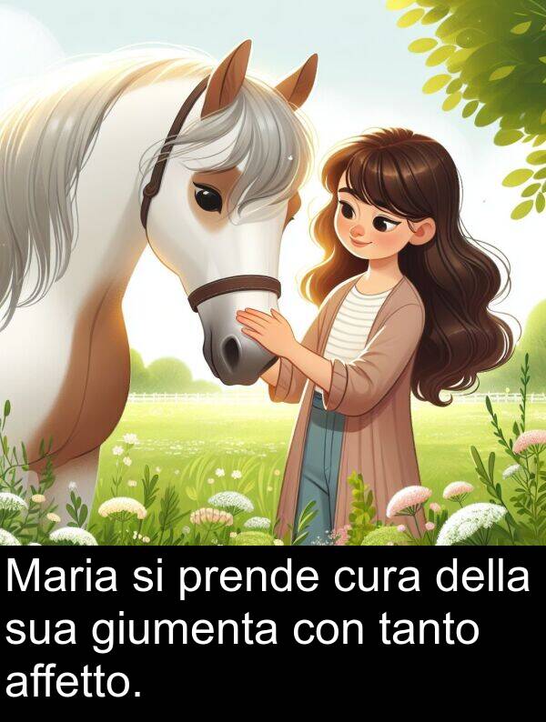 tanto: Maria si prende cura della sua giumenta con tanto affetto.