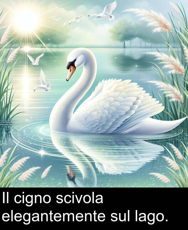 sul: Il cigno scivola elegantemente sul lago.