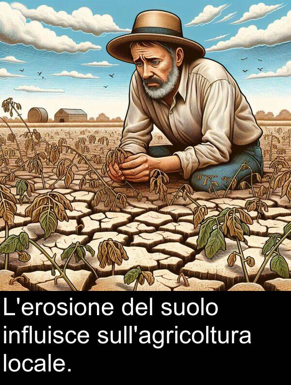 influisce: L'erosione del suolo influisce sull'agricoltura locale.