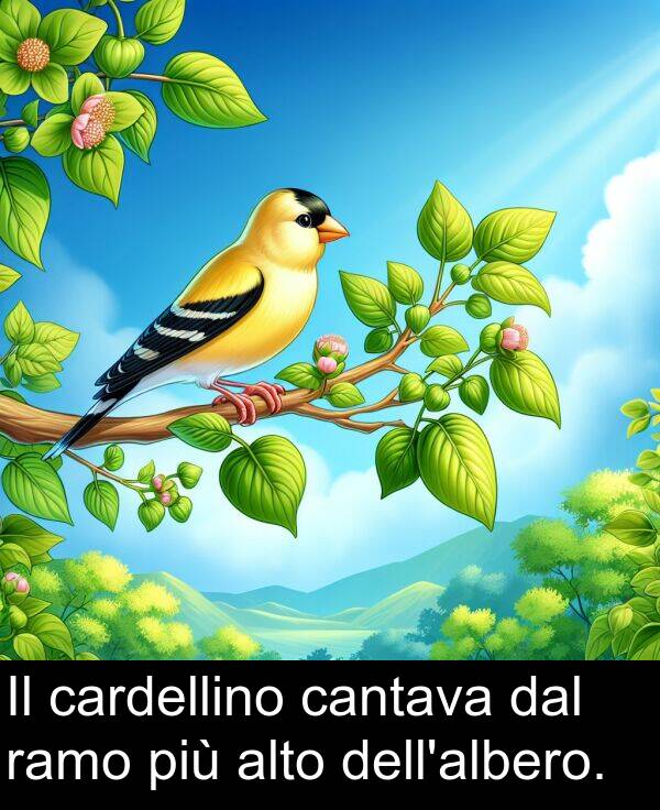 cantava: Il cardellino cantava dal ramo più alto dell'albero.