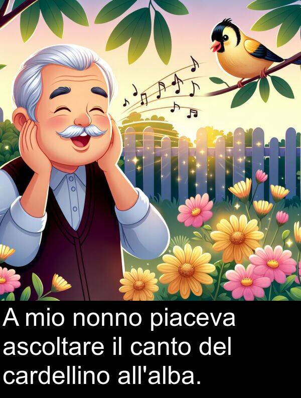 nonno: A mio nonno piaceva ascoltare il canto del cardellino all'alba.