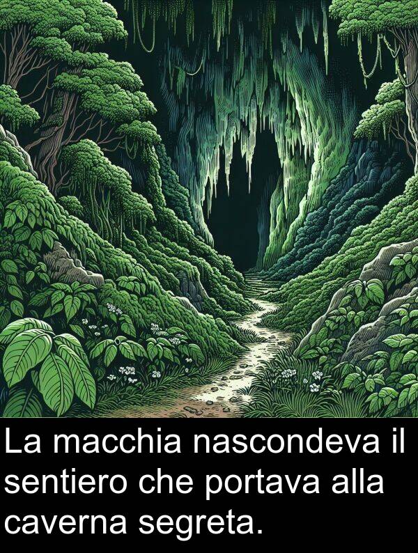 macchia: La macchia nascondeva il sentiero che portava alla caverna segreta.