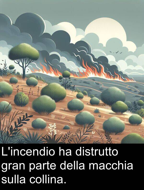 macchia: L'incendio ha distrutto gran parte della macchia sulla collina.