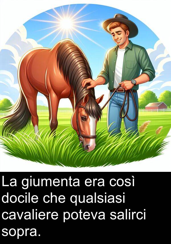 qualsiasi: La giumenta era così docile che qualsiasi cavaliere poteva salirci sopra.