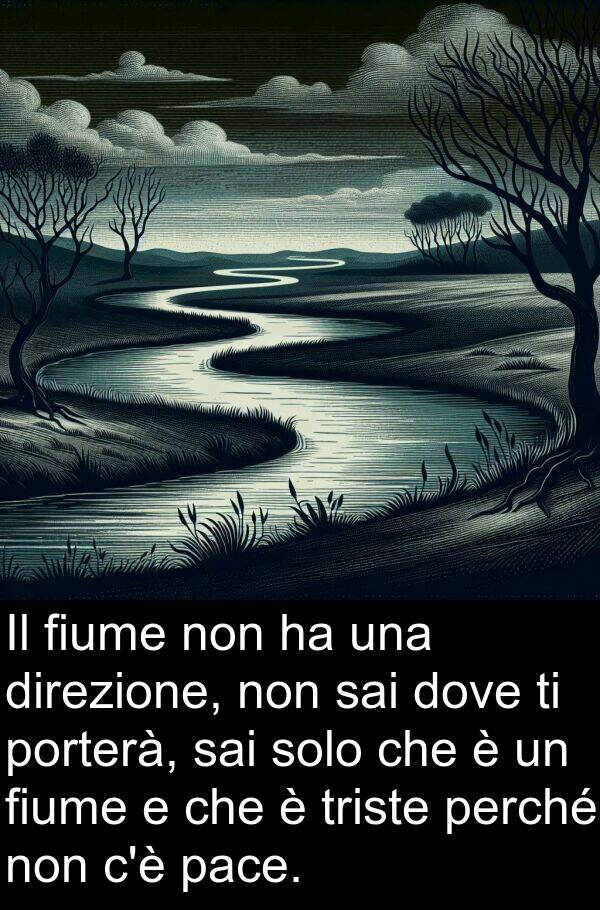 sai: Il fiume non ha una direzione, non sai dove ti porterà, sai solo che è un fiume e che è triste perché non c'è pace.