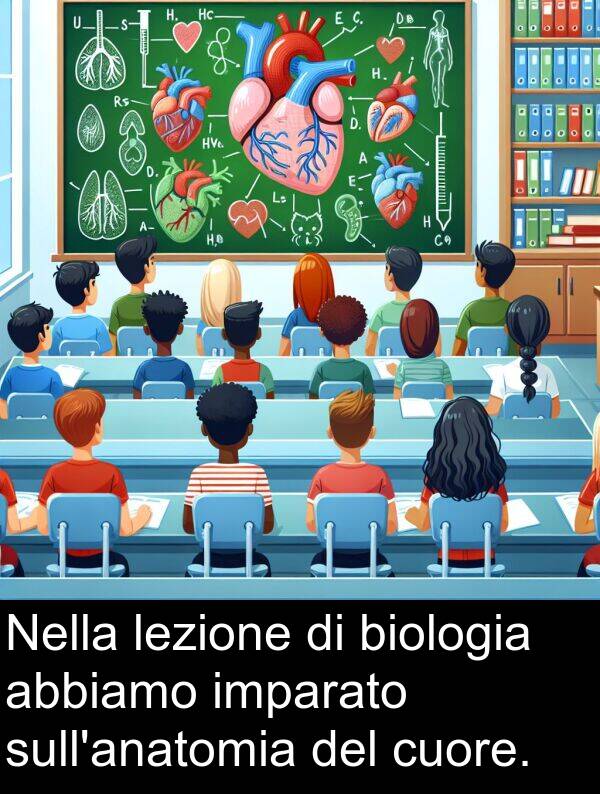 abbiamo: Nella lezione di biologia abbiamo imparato sull'anatomia del cuore.