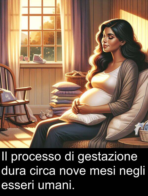 gestazione: Il processo di gestazione dura circa nove mesi negli esseri umani.