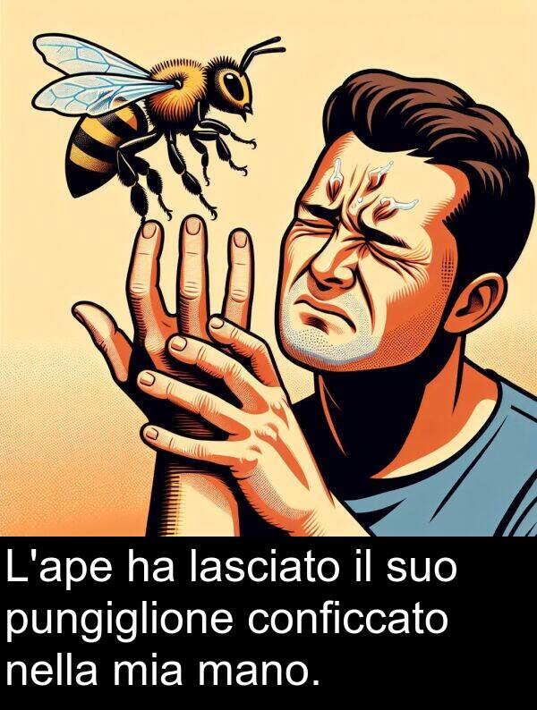 lasciato: L'ape ha lasciato il suo pungiglione conficcato nella mia mano.