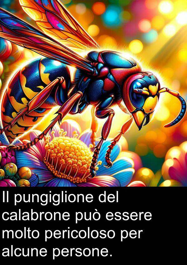 alcune: Il pungiglione del calabrone può essere molto pericoloso per alcune persone.