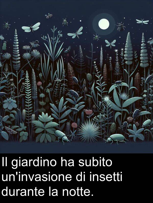 notte: Il giardino ha subito un'invasione di insetti durante la notte.