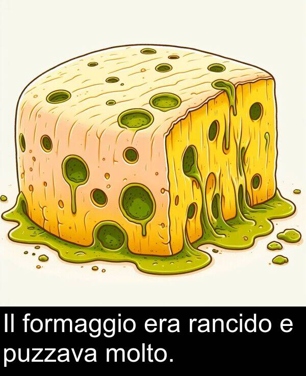 puzzava: Il formaggio era rancido e puzzava molto.