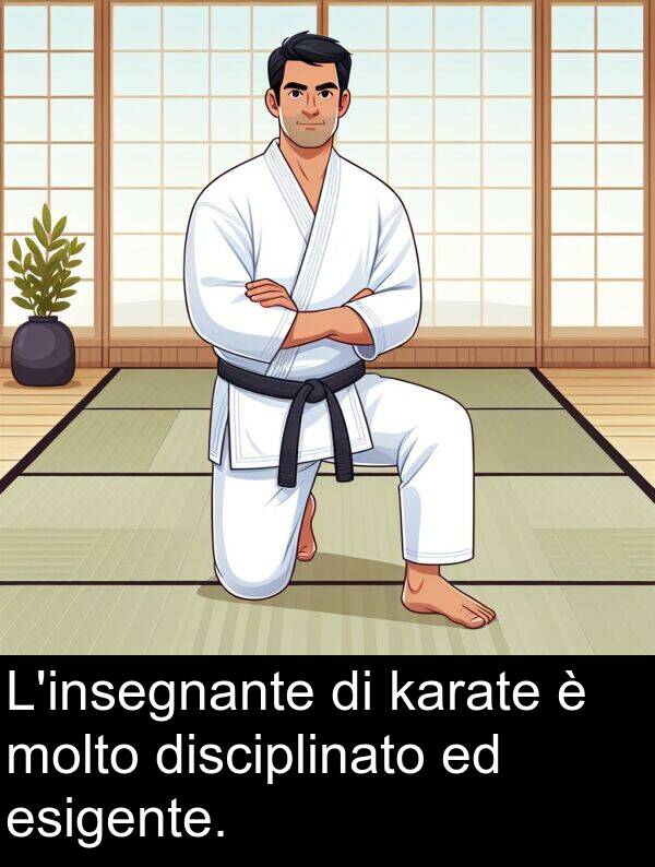 disciplinato: L'insegnante di karate è molto disciplinato ed esigente.