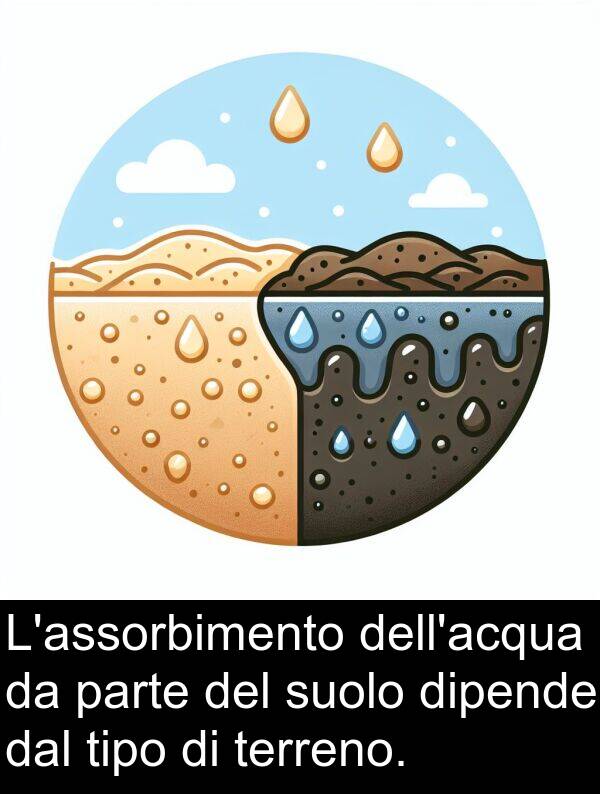 terreno: L'assorbimento dell'acqua da parte del suolo dipende dal tipo di terreno.