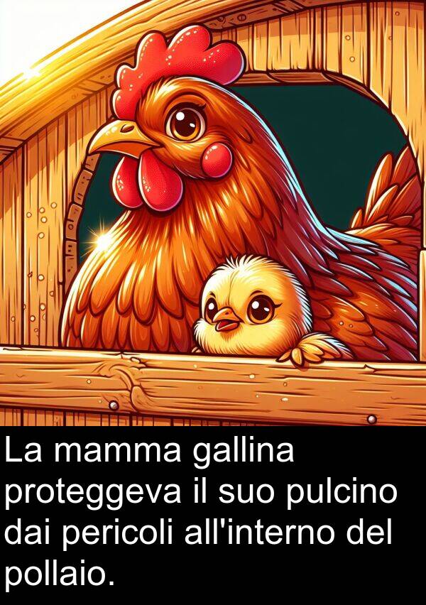 dai: La mamma gallina proteggeva il suo pulcino dai pericoli all'interno del pollaio.