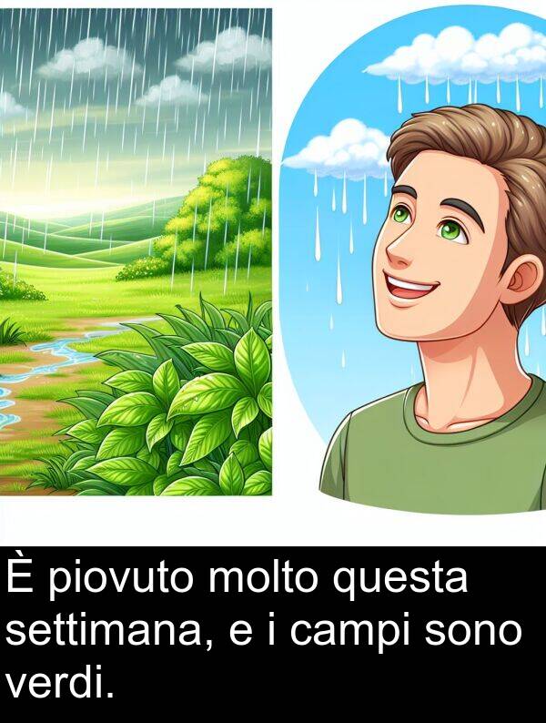 piovuto: È piovuto molto questa settimana, e i campi sono verdi.