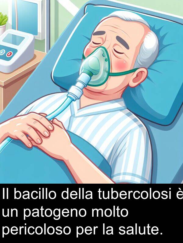 bacillo: Il bacillo della tubercolosi è un patogeno molto pericoloso per la salute.