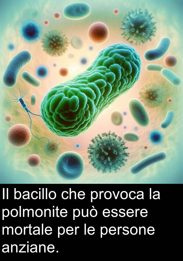 bacillo: Il bacillo che provoca la polmonite può essere mortale per le persone anziane.