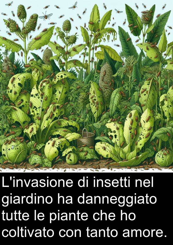 tanto: L'invasione di insetti nel giardino ha danneggiato tutte le piante che ho coltivato con tanto amore.