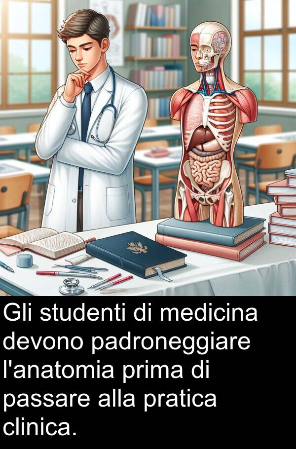 padroneggiare: Gli studenti di medicina devono padroneggiare l'anatomia prima di passare alla pratica clinica.